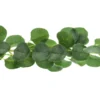 GLW1 - Image 4