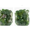 GLW1 - Image 2